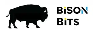 Bison dynamic weighing system, featuring high-precision fiber-optic sensors.